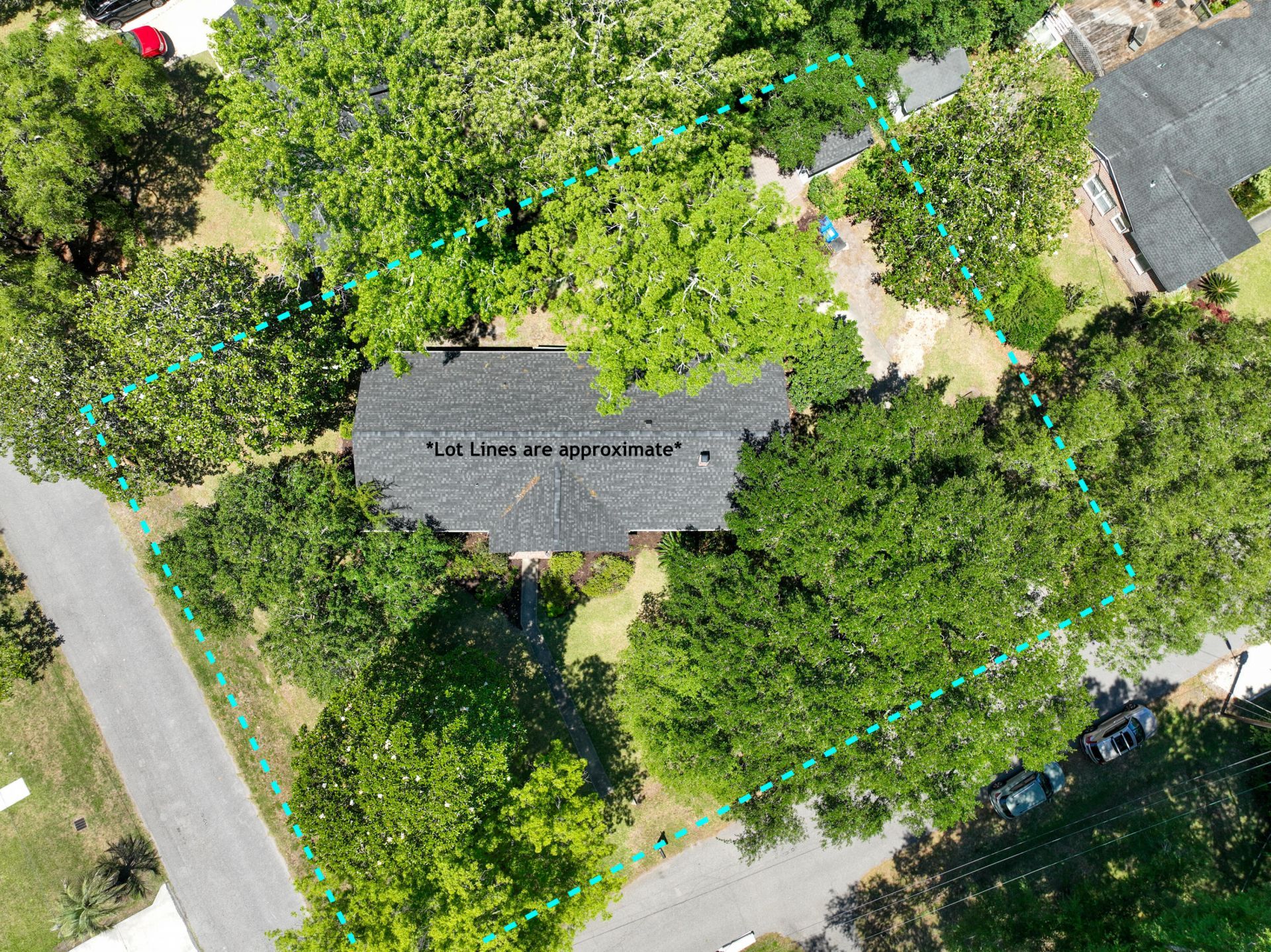 455 Lydia Drive Photo 51