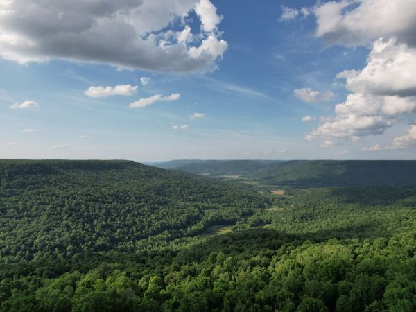 309 Blackberry Rd, Beersheba Springs, TN 37305