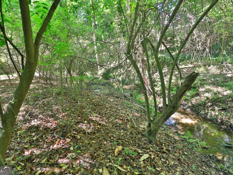 Property Image 61