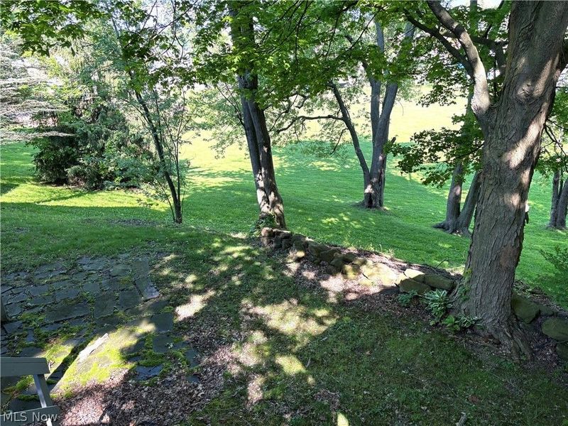 343 State Street, Leetonia, OH 44431 Photo 36