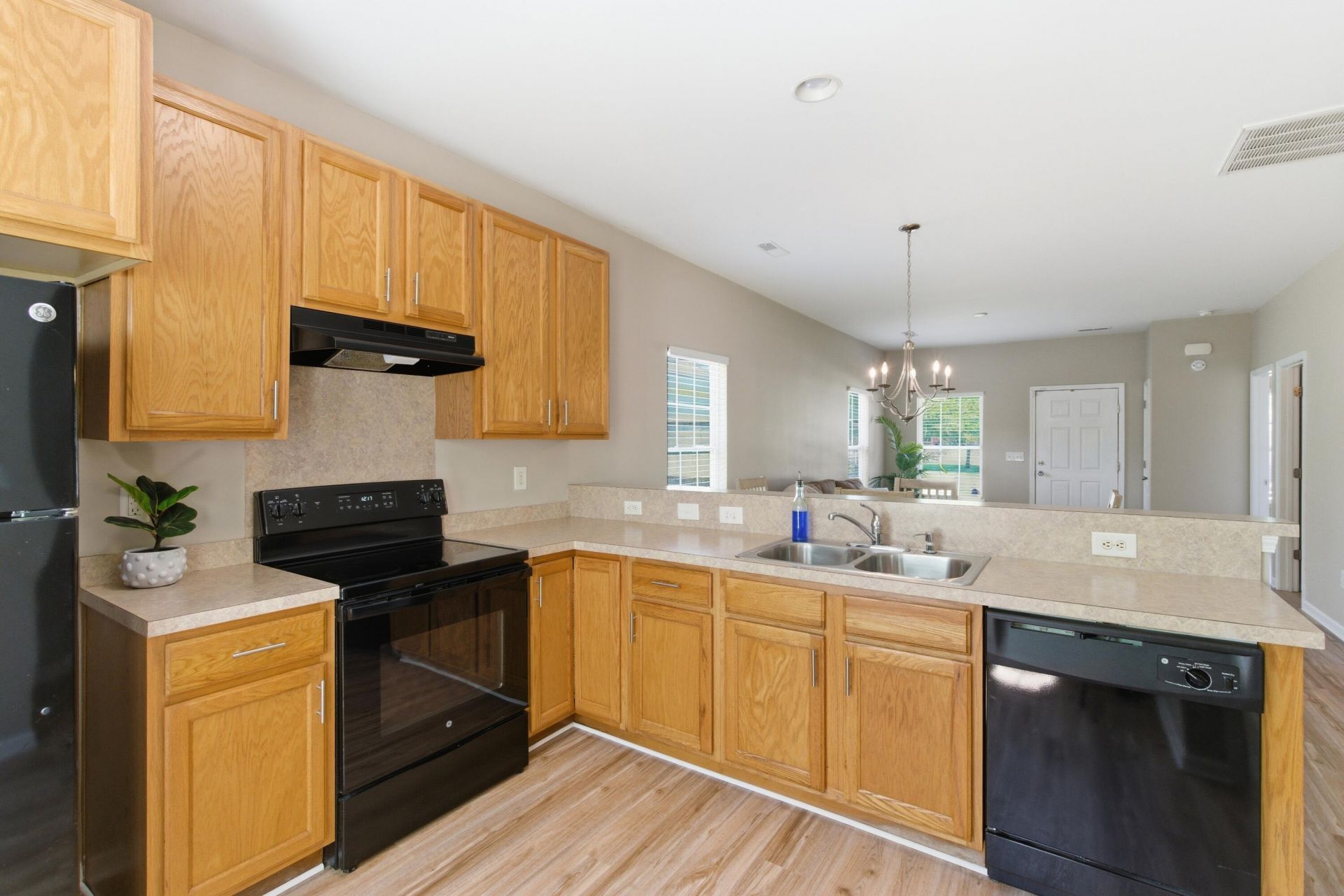 613 Savannah River Drive Photo 10