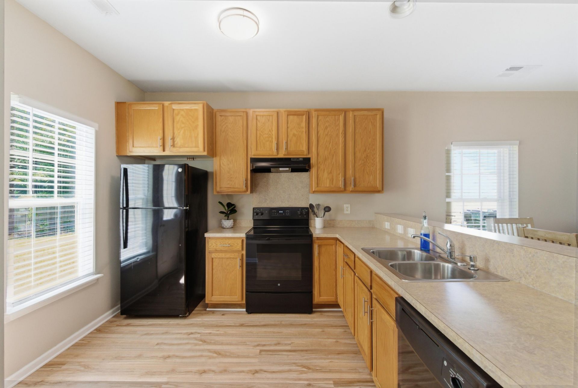 613 Savannah River Drive Photo 11