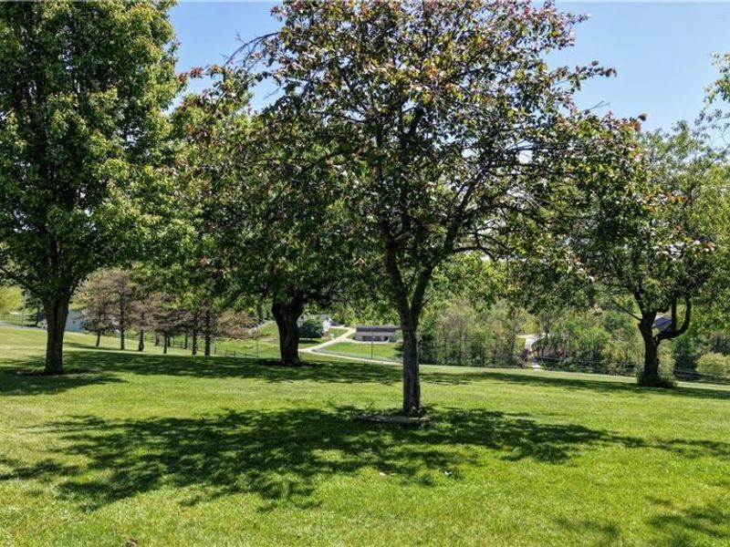 5065 Township Road 356, Millersburg, OH 44654 Photo 44