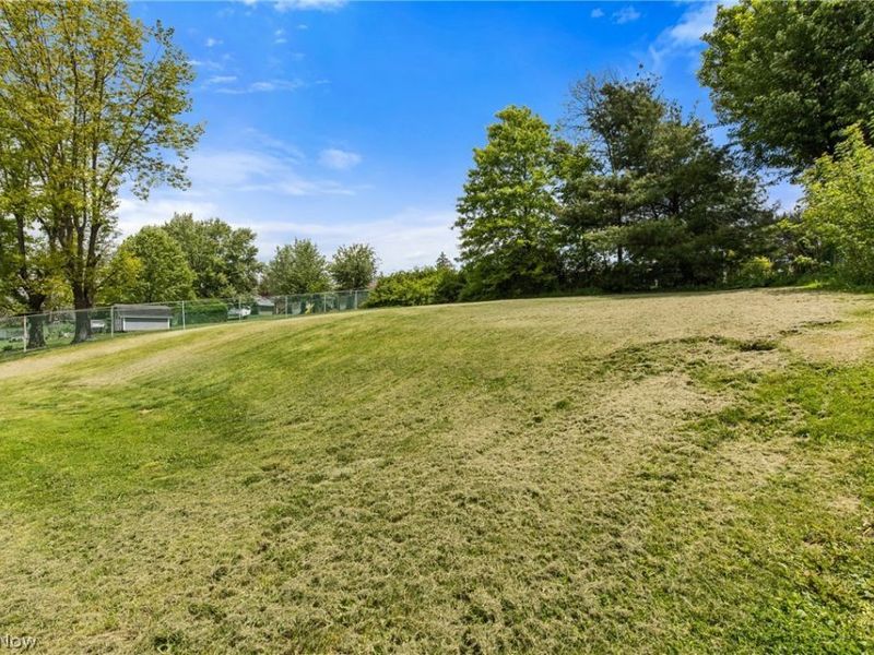 324 Thomas Street, Wintersville, OH 43953 Photo 30