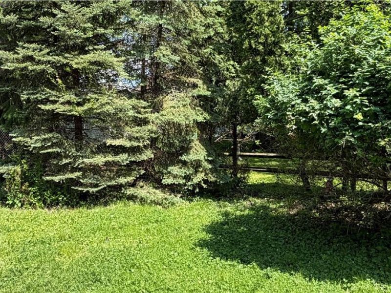 24420 Glenbrook Boulevard, Euclid, OH 44117 Photo 5