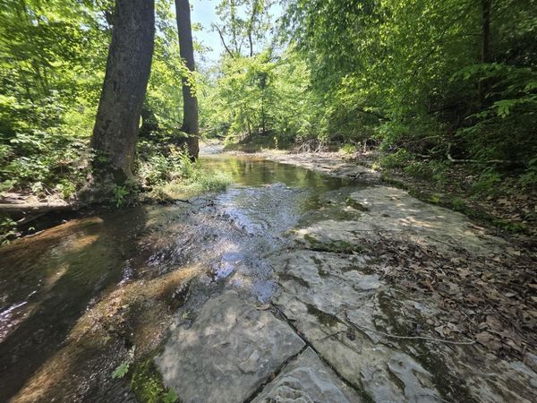 1310 Carney Winters Rd , Ashland City, TN 37015