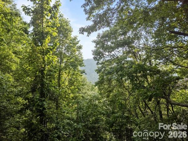 00 Granny Shepherd Road , Mars Hill, NC 28754
