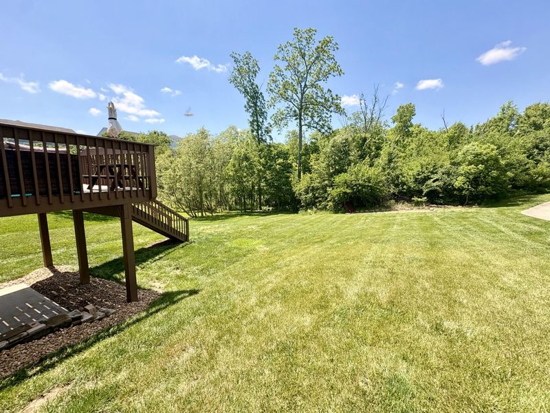 10730 Anna Lane, Independence, KY 41051 Photo 29