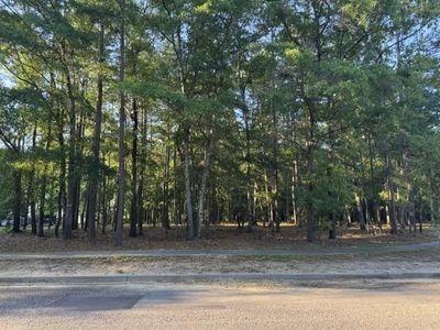 1791 Old Town Ave. , Georgetown, SC 29440