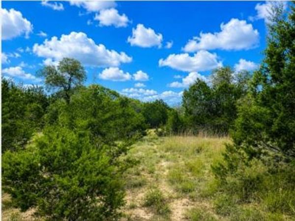 576 Rock House DR, Liberty Hill, TX 78642