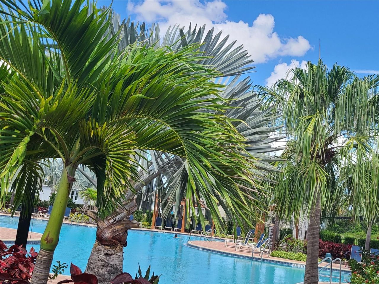 17605 Cantarina Cove , Bradenton, FL 34211 Photo
