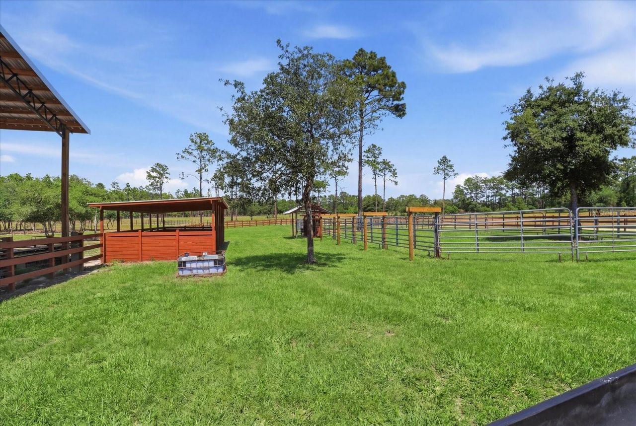 9560 N Parkwood Avenue, Dunnellon, FL 34433 Photo