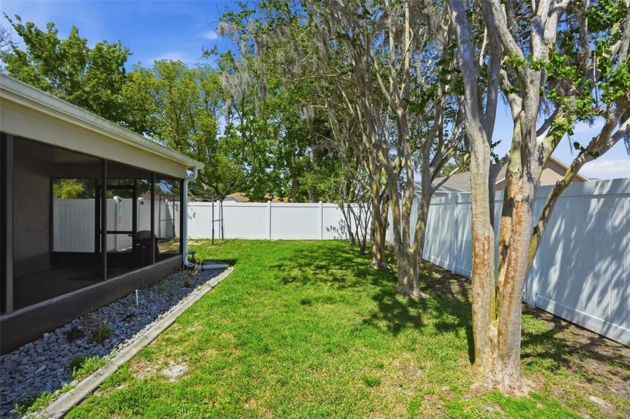 10616 Bucks Run, New Port Richey, FL 34654 Photo