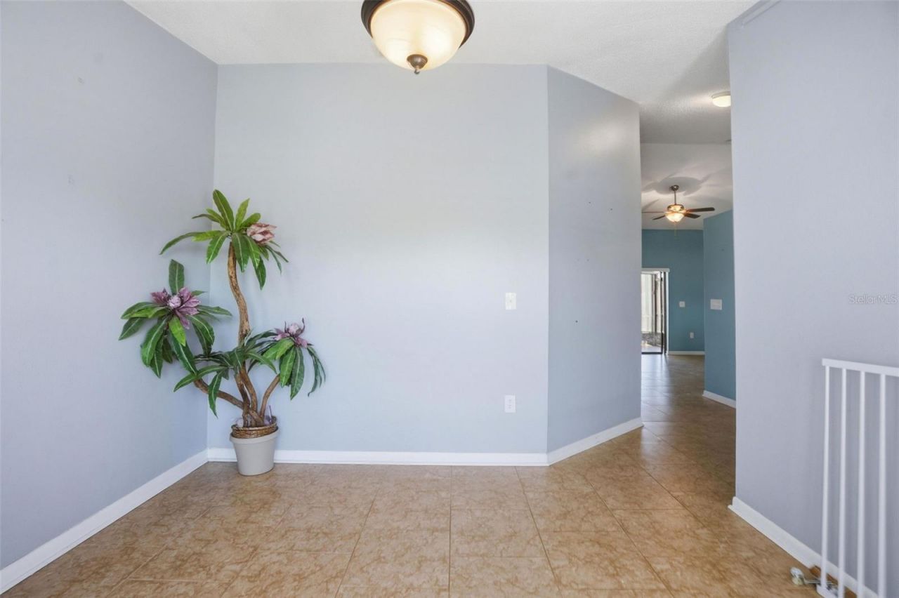 10616 Bucks Run, New Port Richey, FL 34654 Photo
