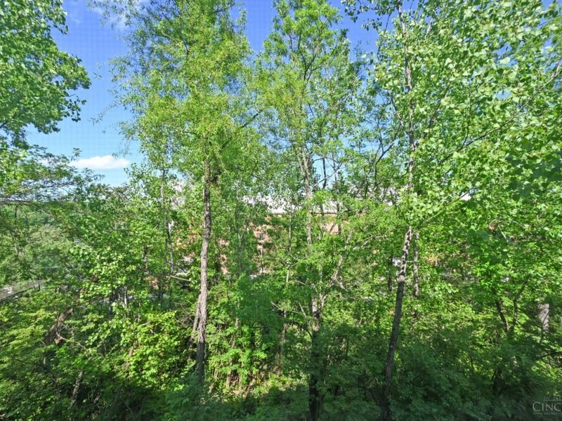 1080 Tuscany Place, Cincinnati, OH 45226 Photo 59