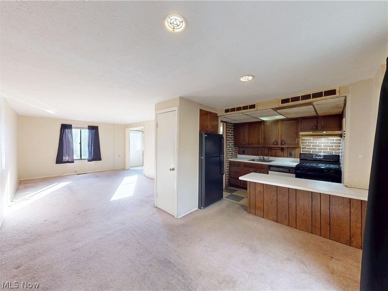 1651 Mentor Avenue, Unit 808, Painesville, OH 44077 Photo 7
