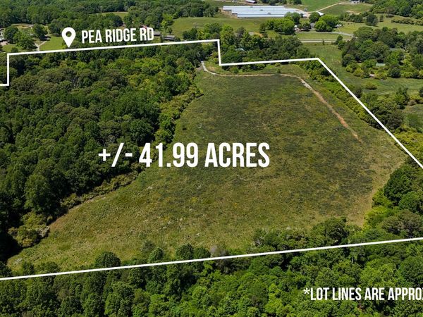 3600 Pea Ridge Road, Cornelia, GA 30531