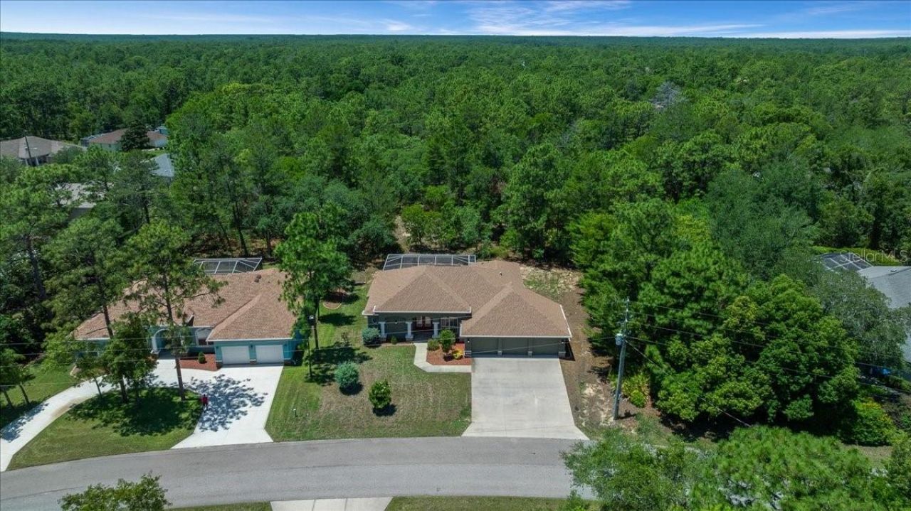 5 Saintpaulia Street , Homosassa, FL 34446 Photo