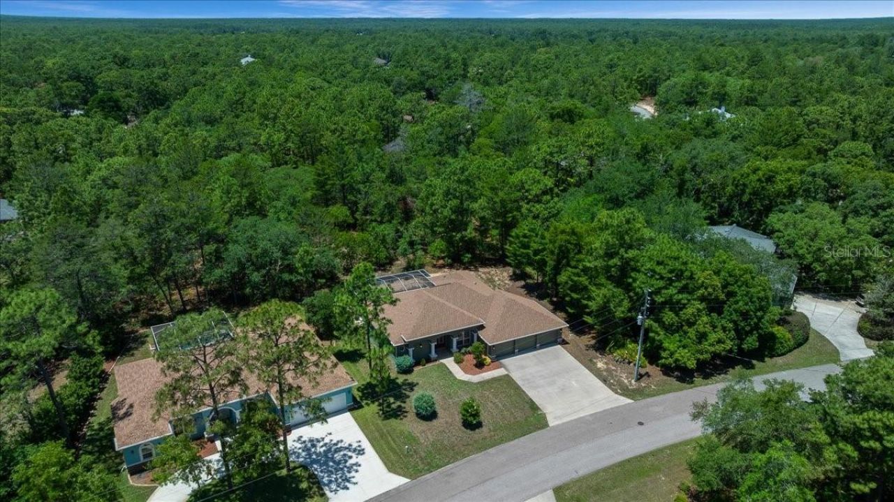 5 Saintpaulia Street , Homosassa, FL 34446 Photo