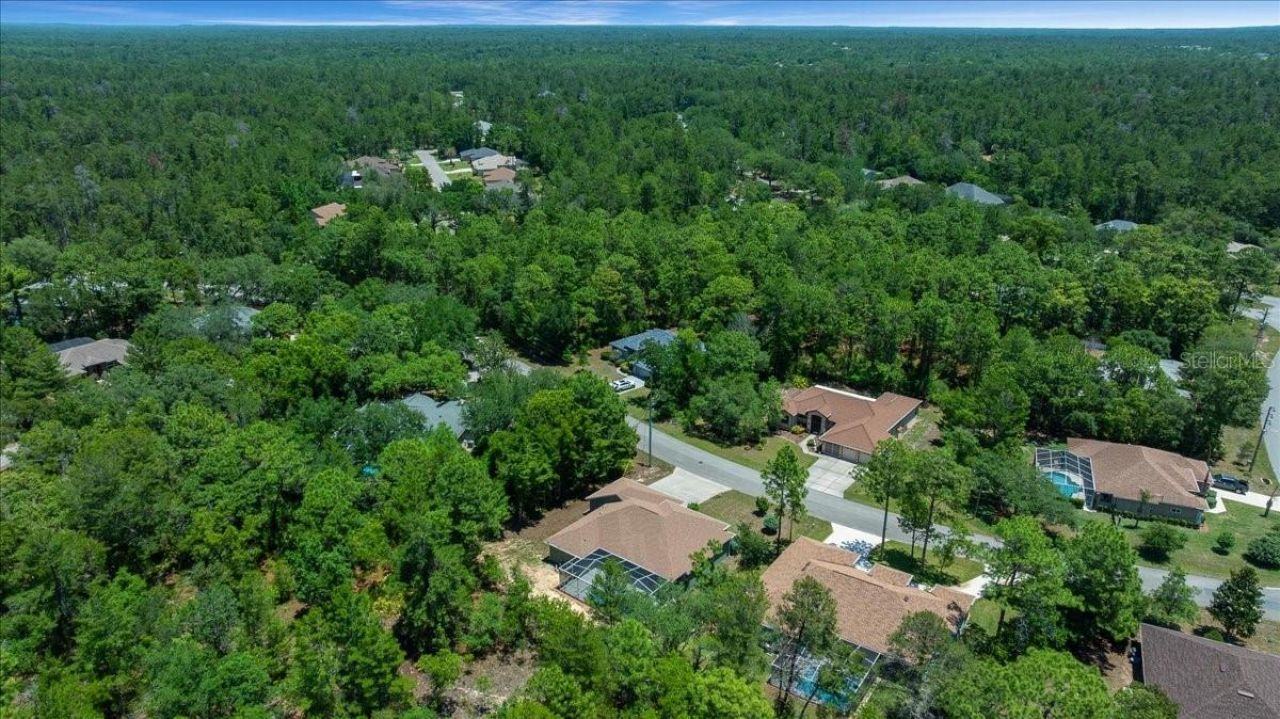 5 Saintpaulia Street , Homosassa, FL 34446 Photo