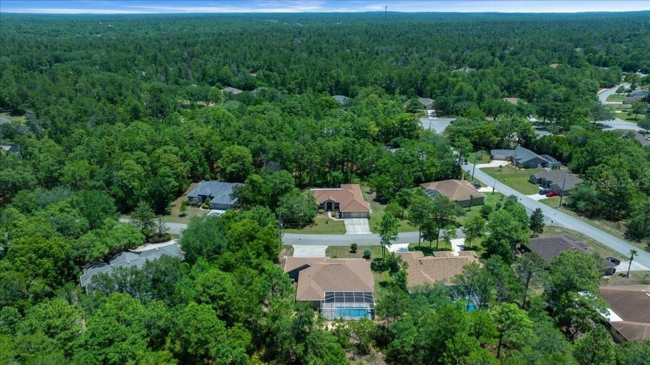 5 Saintpaulia Street , Homosassa, FL 34446 Photo