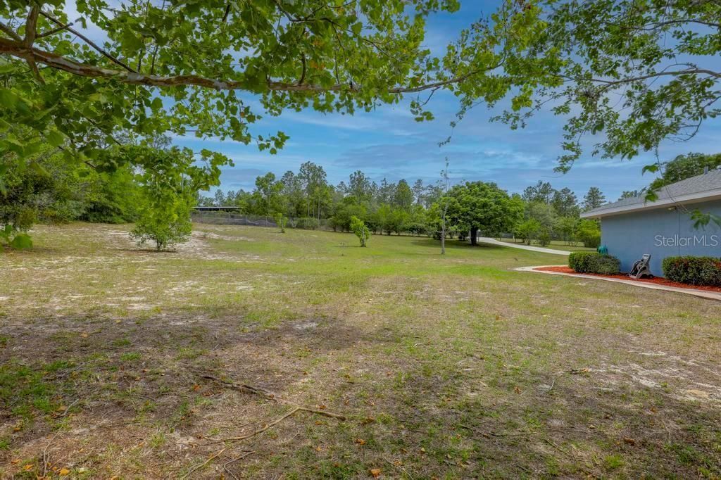 6349 W Dunklin Street , Dunnellon, FL 34433 Photo
