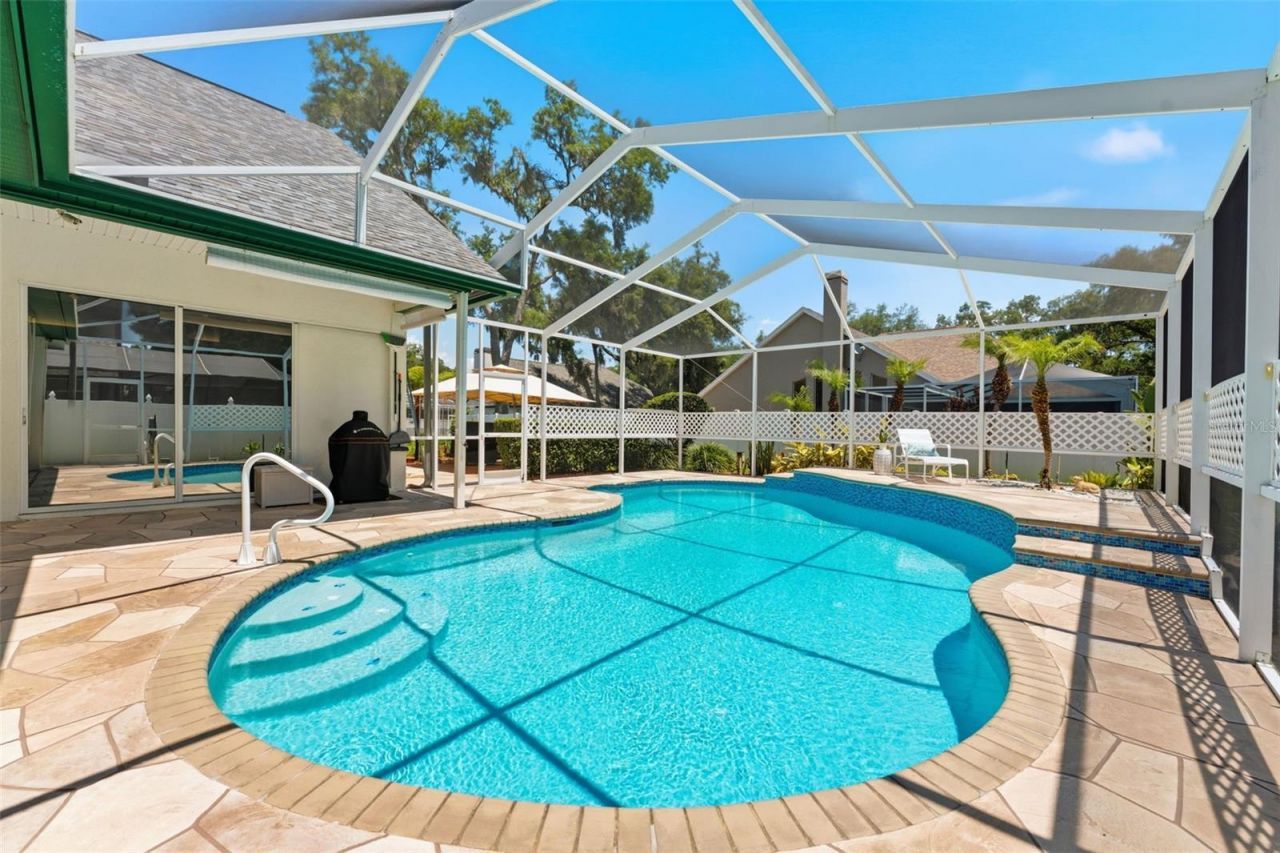 3406 Sylvan Shadow Street, Valrico, FL 33596 Photo