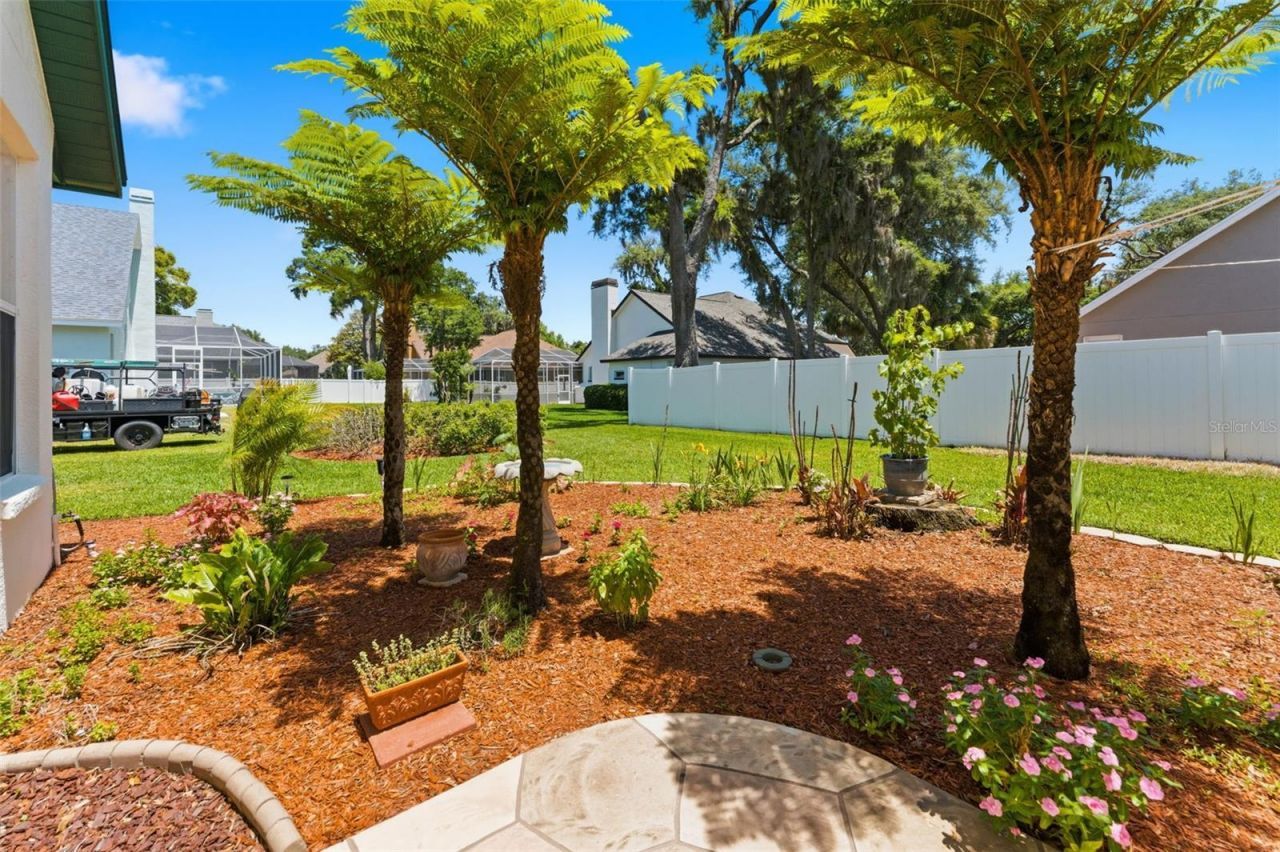 3406 Sylvan Shadow Street, Valrico, FL 33596 Photo
