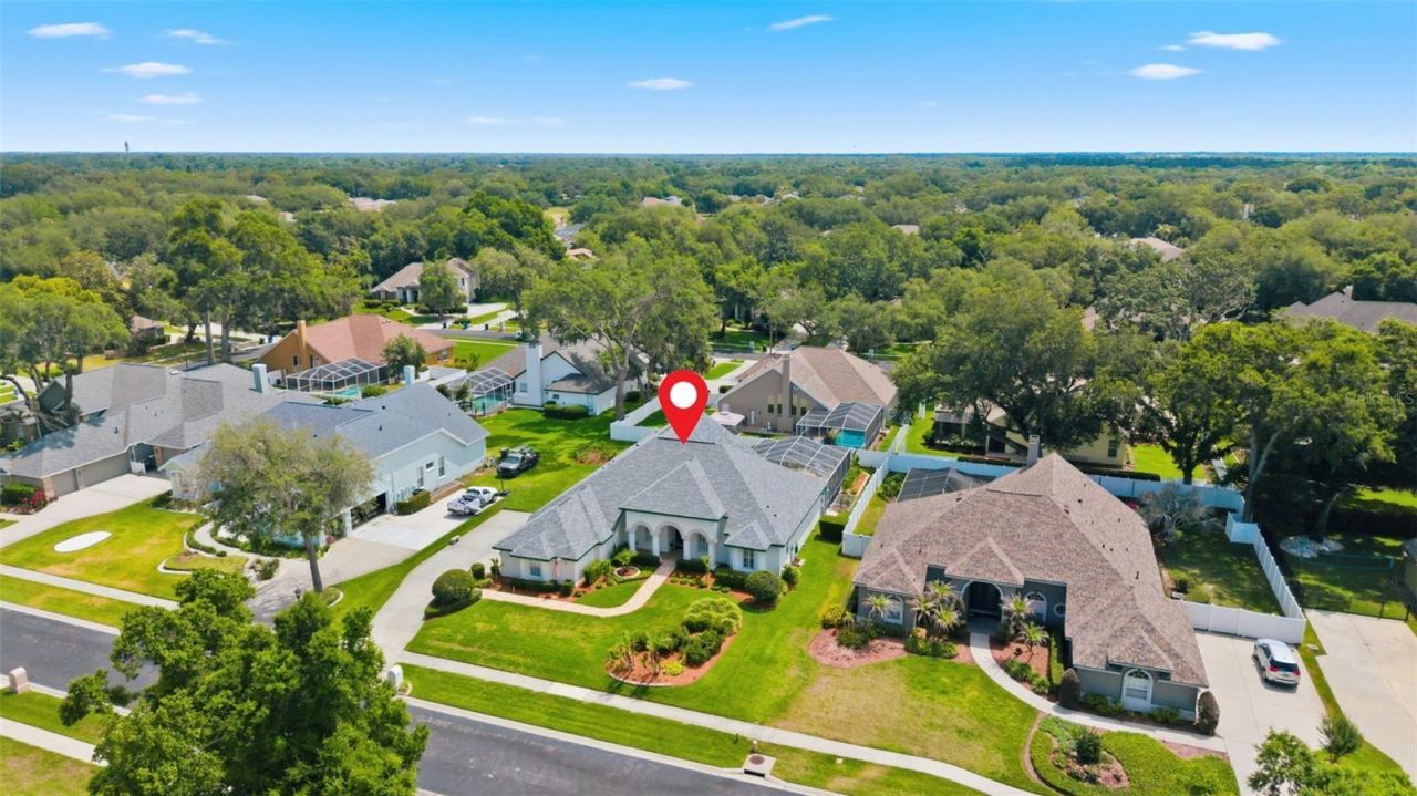 3406 Sylvan Shadow Street, Valrico, FL 33596 Photo
