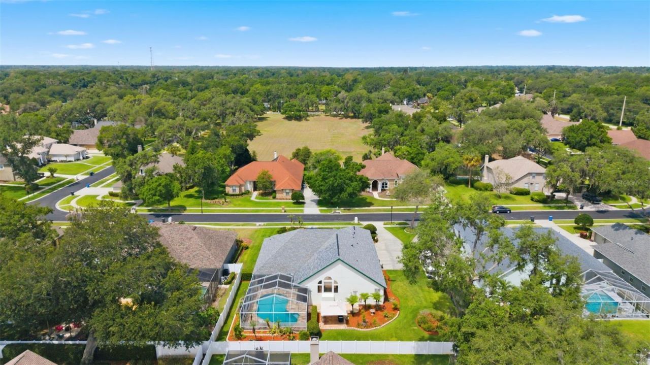 3406 Sylvan Shadow Street, Valrico, FL 33596 Photo