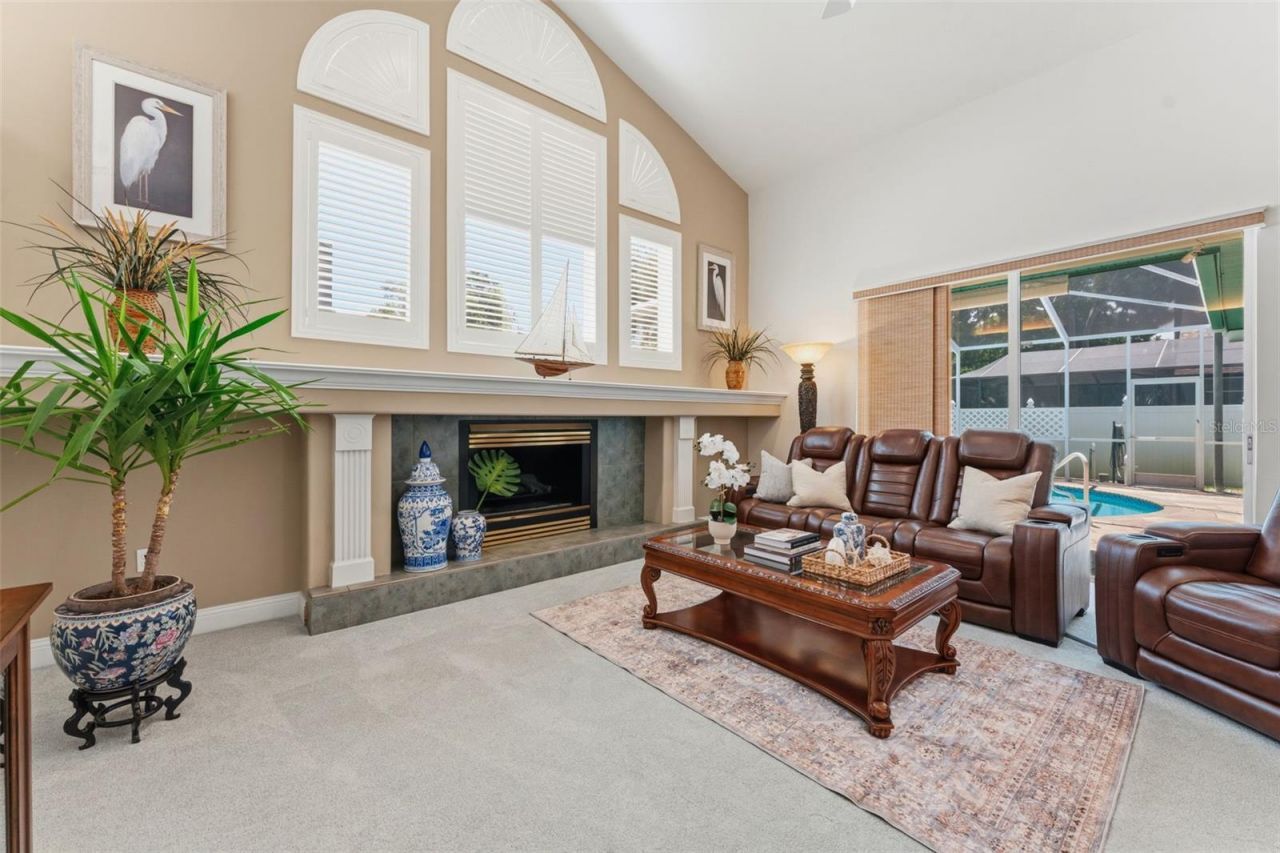 3406 Sylvan Shadow Street, Valrico, FL 33596 Photo