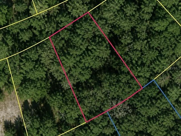 SE FISCHER LANE DRIVE , OCKLAWAHA, FL 32179