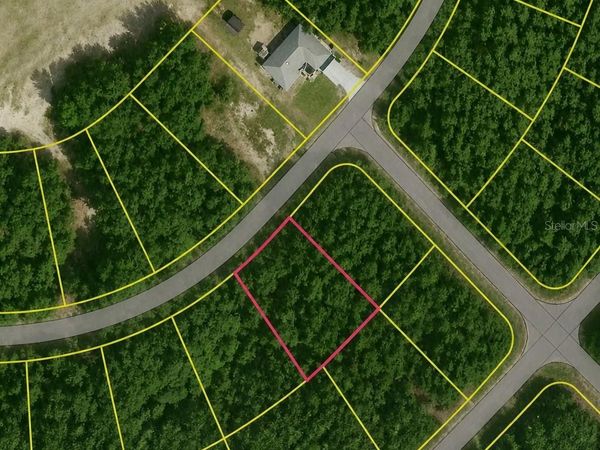 SE FISCHER LANE DRIVE , OCKLAWAHA, FL 32179