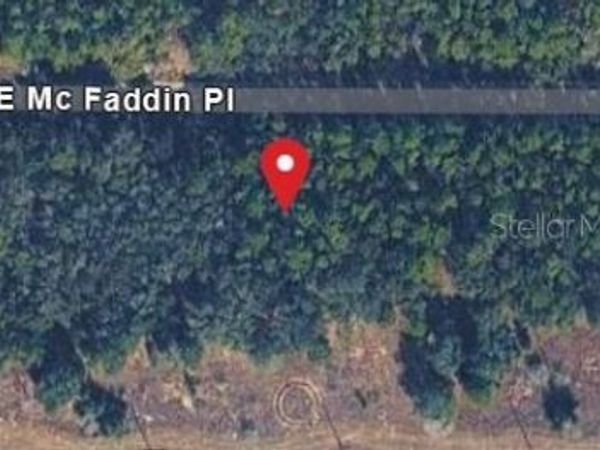 389 E MC FADDIN PLACE E, DUNNELLON, FL 34434