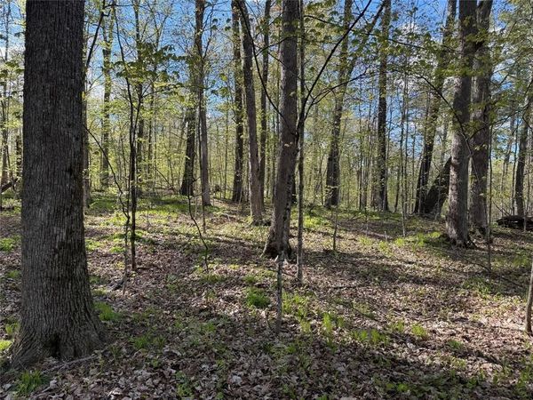 W2373 Blackhawk Road, Sarona, WI 54870