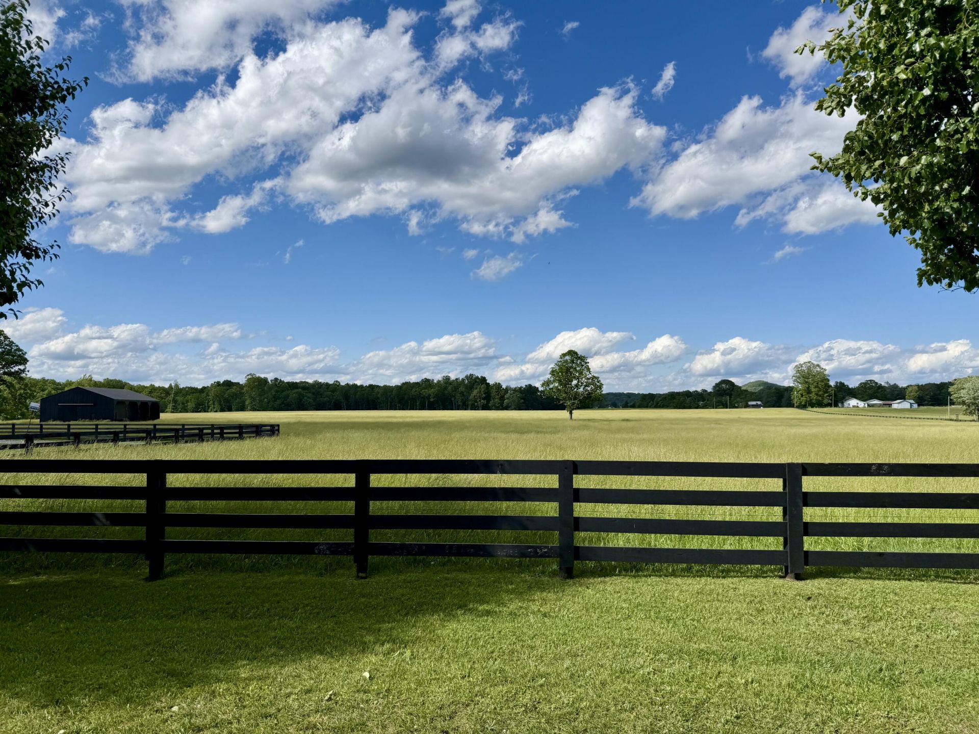 39 Acres Flatwoods Road, Nancy, KY 42544