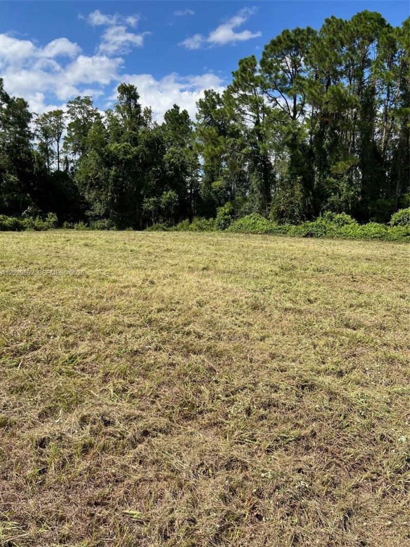 Huntington Shortcut Rd , Crescent City, FL 32112 Photo