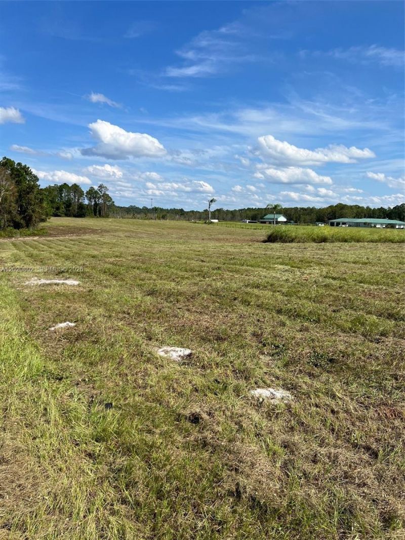 Huntington Shortcut Rd , Crescent City, FL 32112 Photo