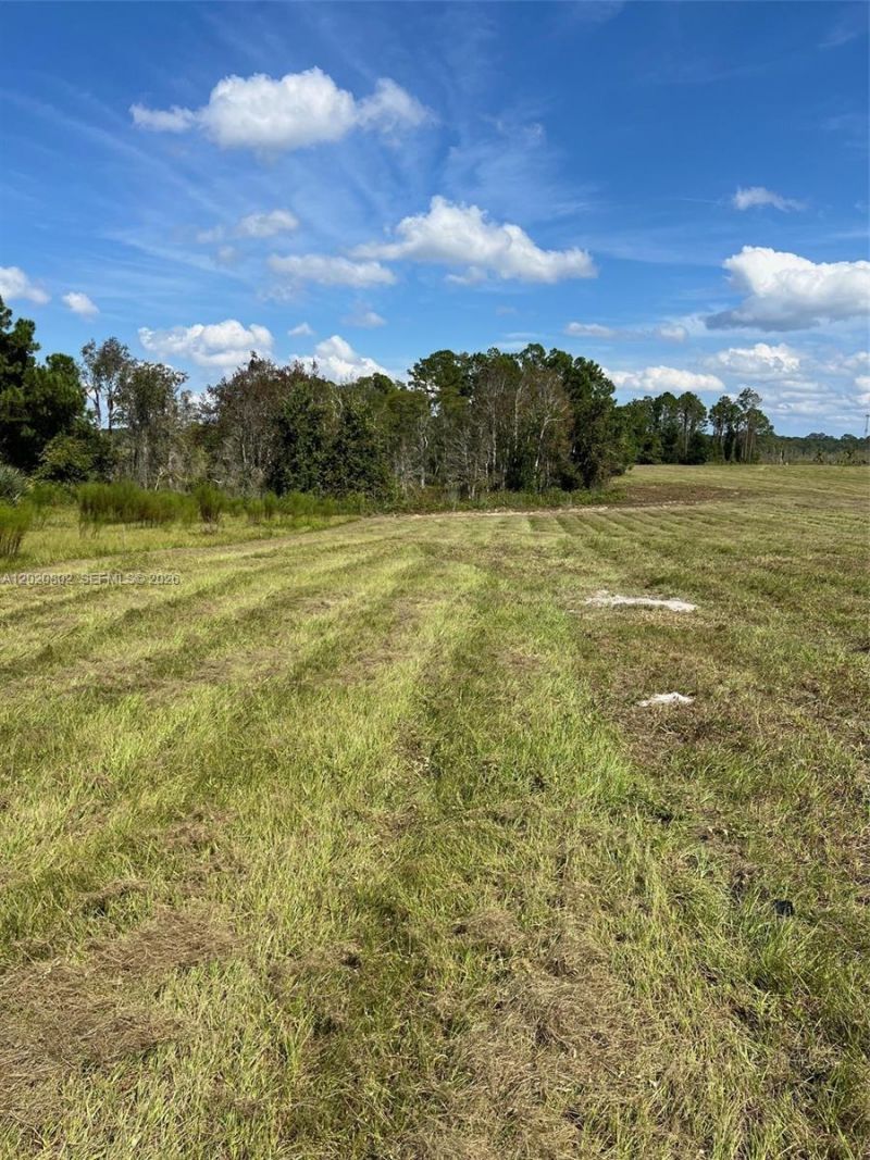 Huntington Shortcut Rd , Crescent City, FL 32112 Photo