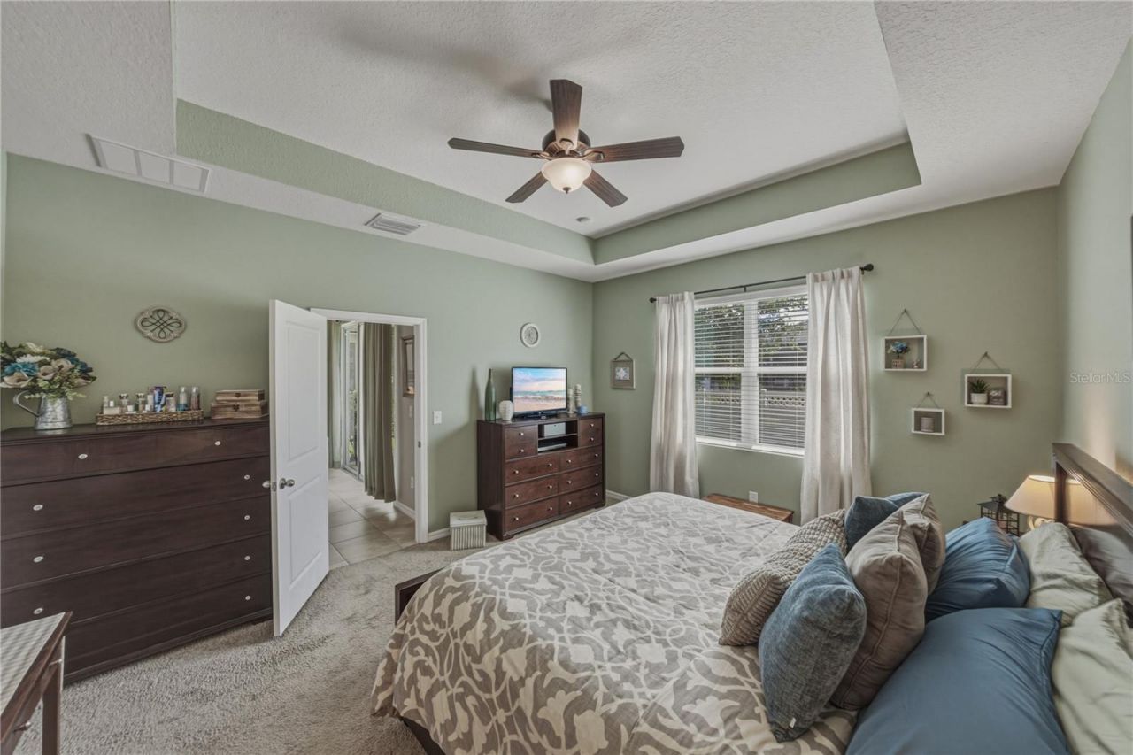 7739 Timberview Loop, Wesley Chapel, FL 33545 Photo