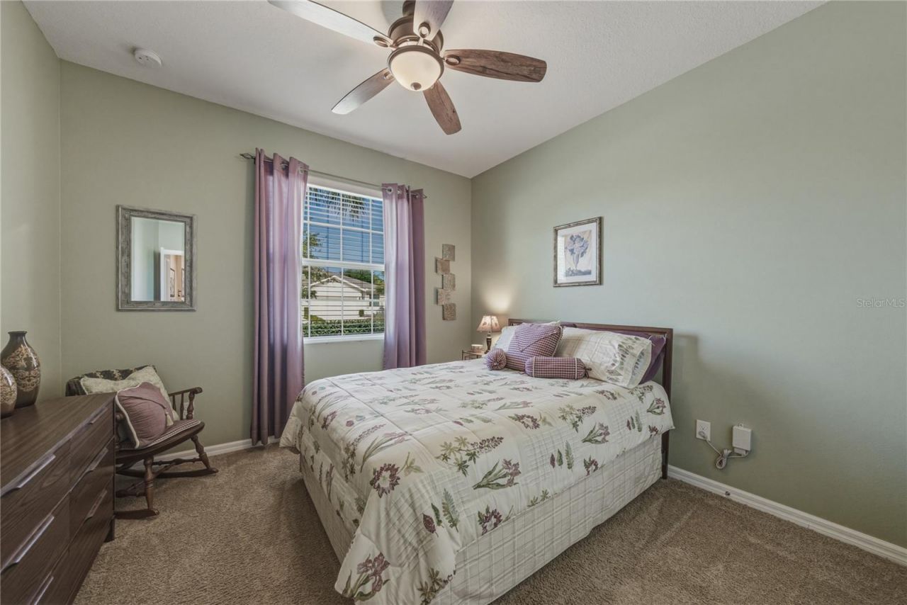 7739 Timberview Loop, Wesley Chapel, FL 33545 Photo