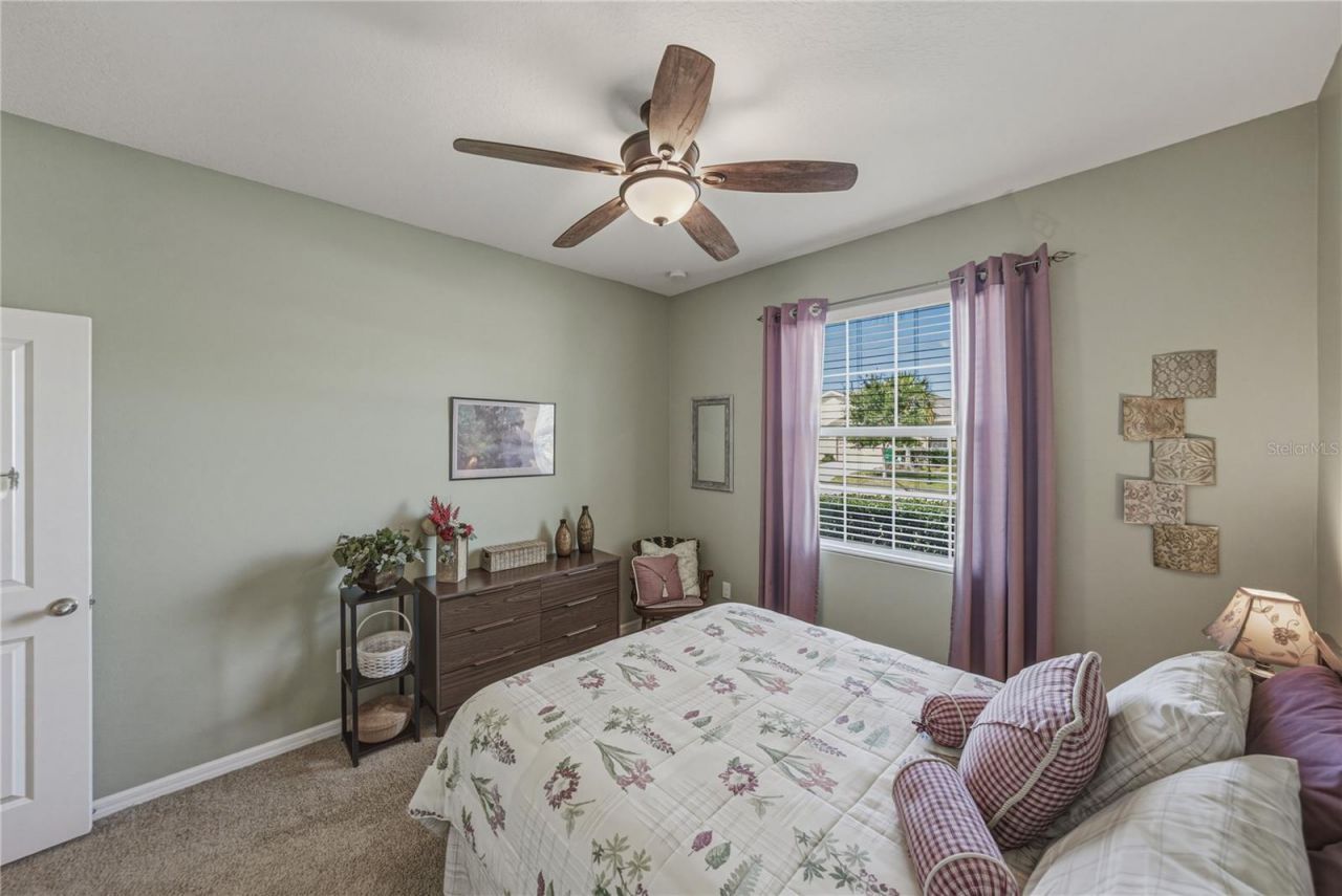 7739 Timberview Loop, Wesley Chapel, FL 33545 Photo