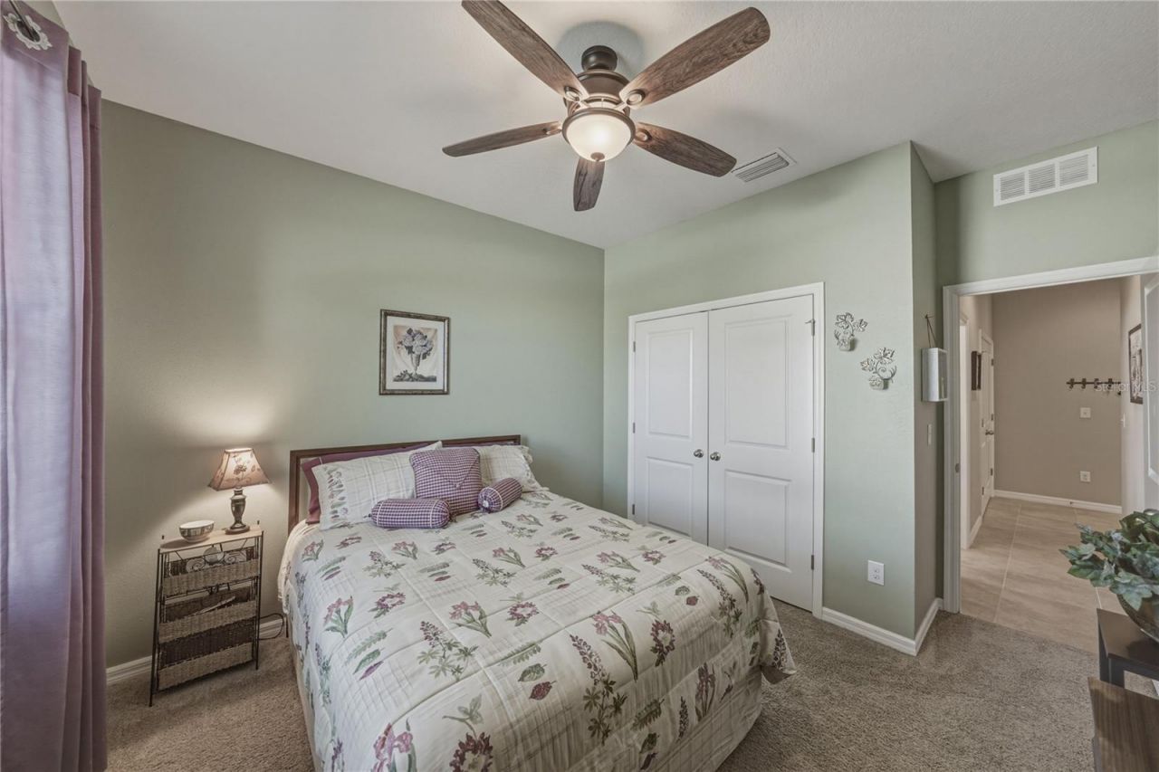 7739 Timberview Loop, Wesley Chapel, FL 33545 Photo