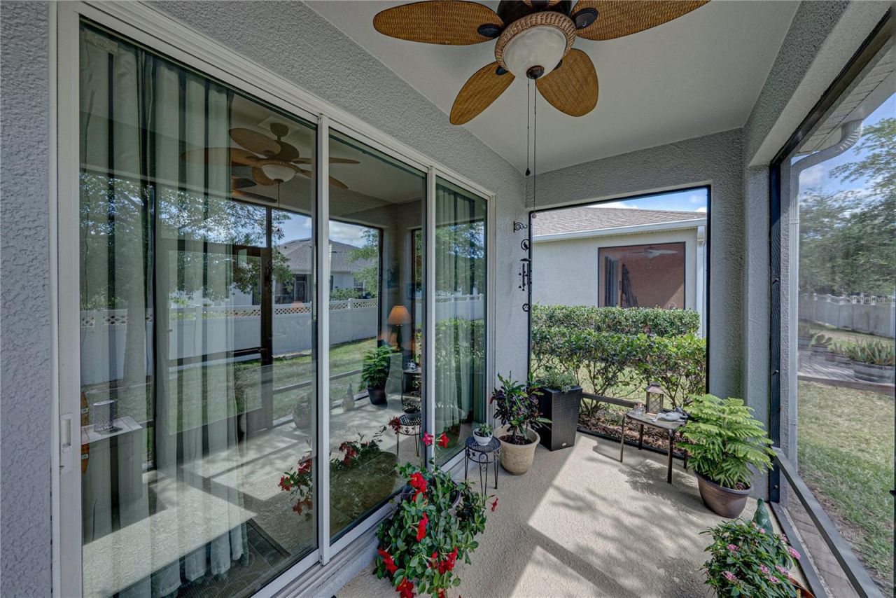 7739 Timberview Loop, Wesley Chapel, FL 33545 Photo