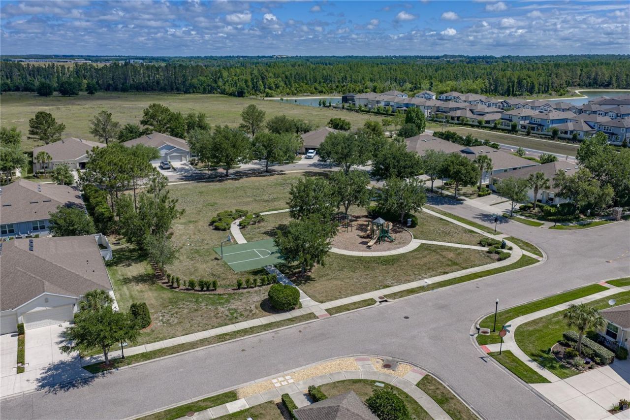 7739 Timberview Loop, Wesley Chapel, FL 33545 Photo