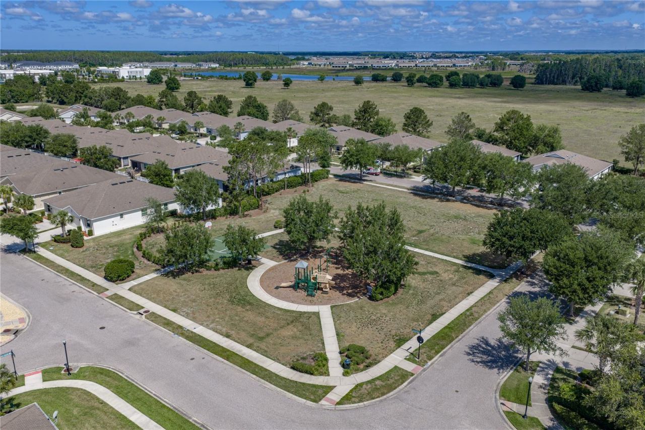 7739 Timberview Loop, Wesley Chapel, FL 33545 Photo