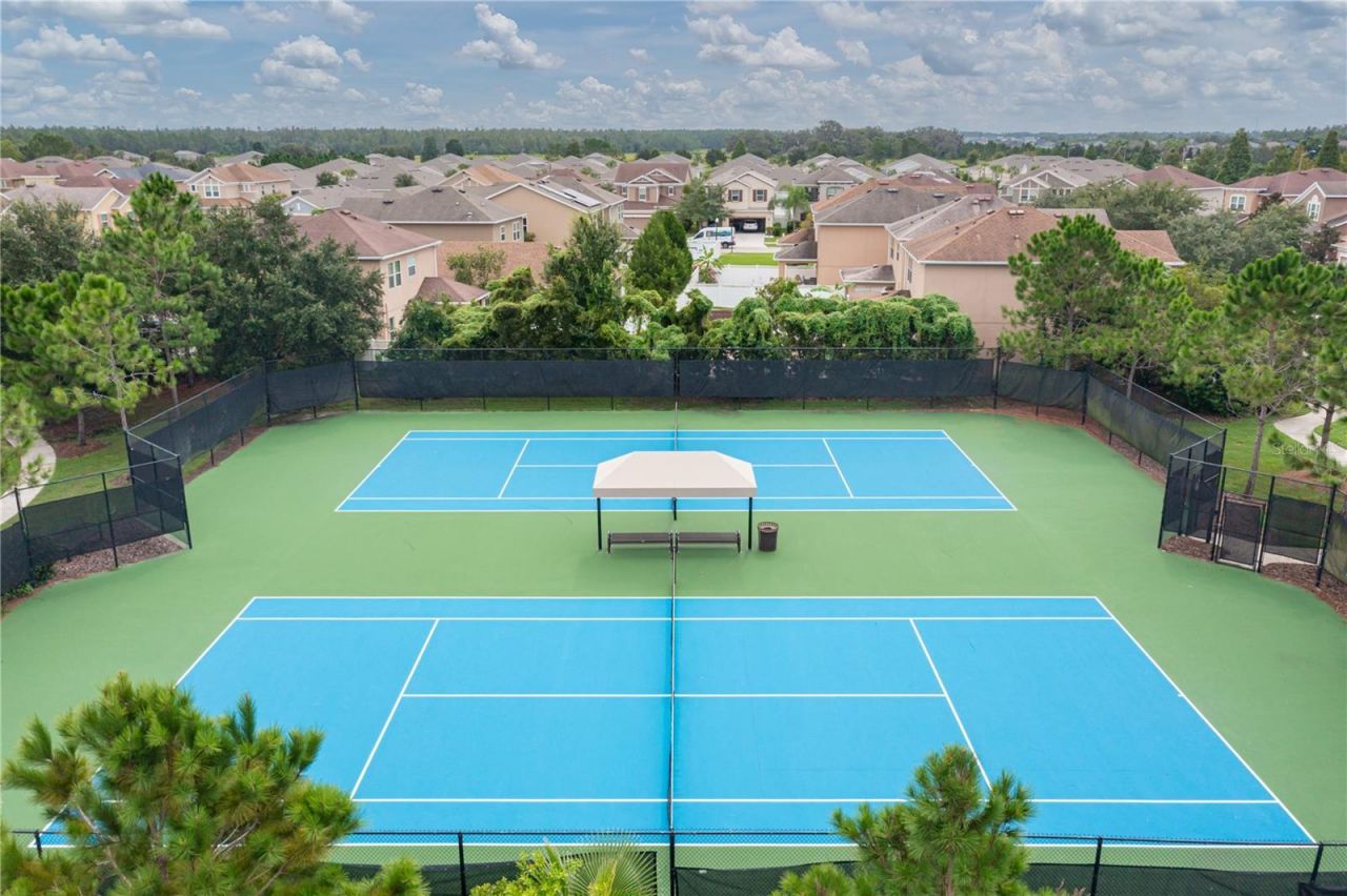 7739 Timberview Loop, Wesley Chapel, FL 33545 Photo