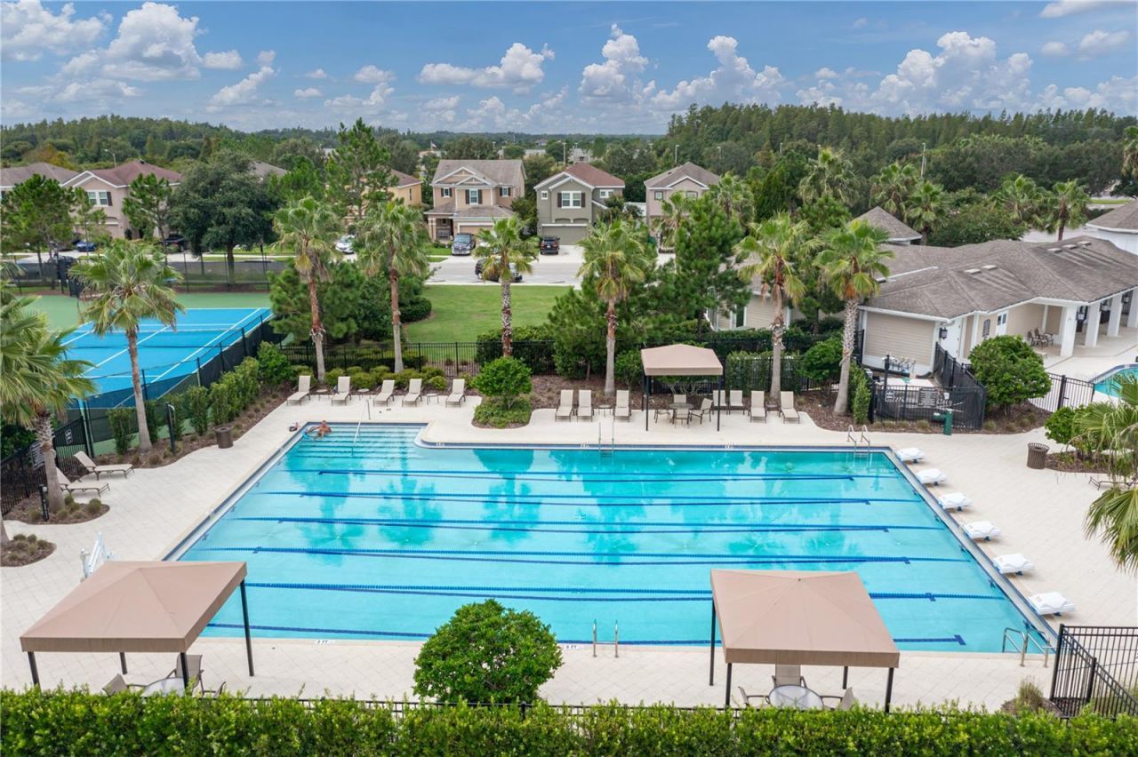 7739 Timberview Loop, Wesley Chapel, FL 33545 Photo
