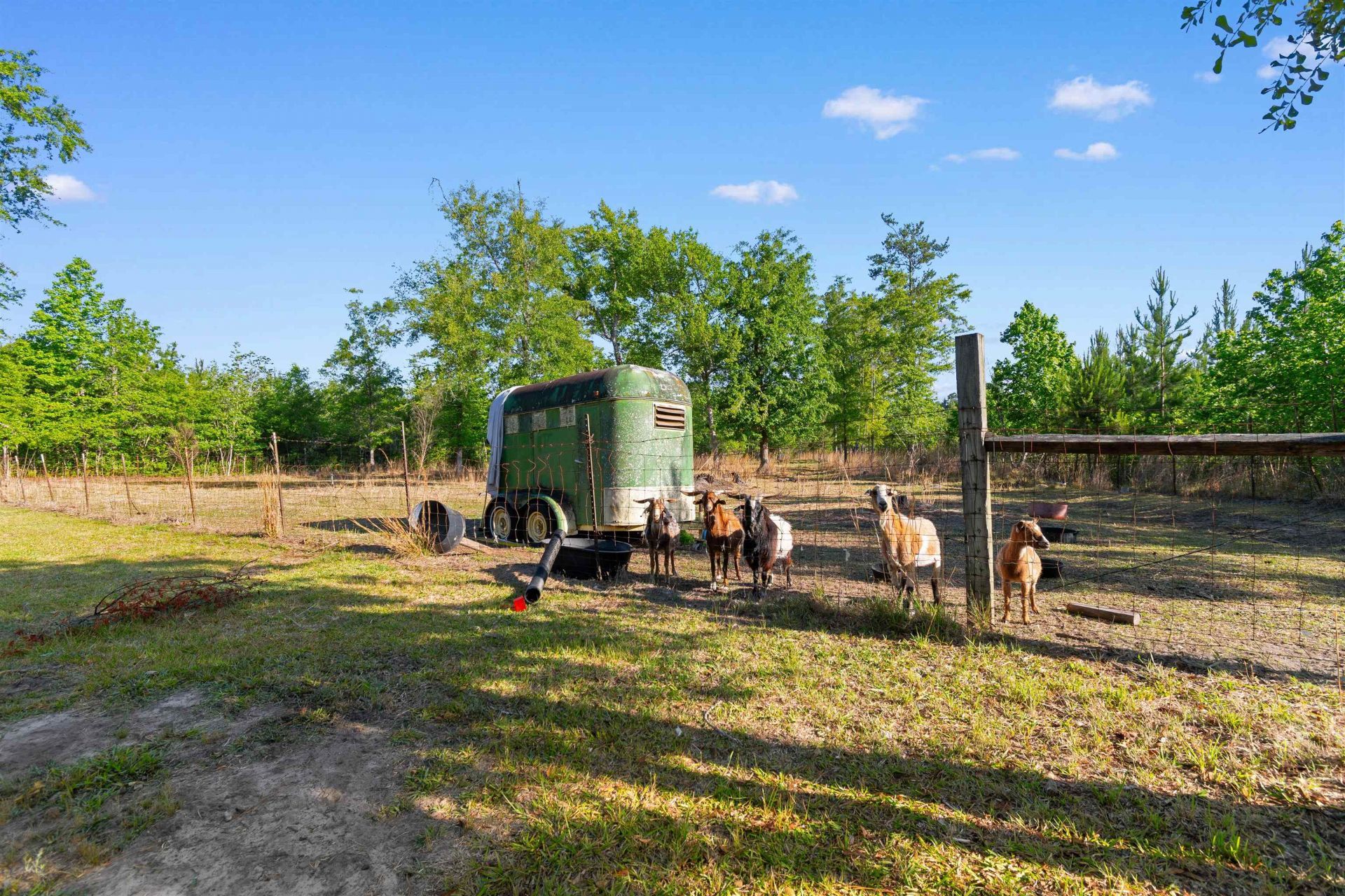 1040 Wee Tee Rd. Photo 17