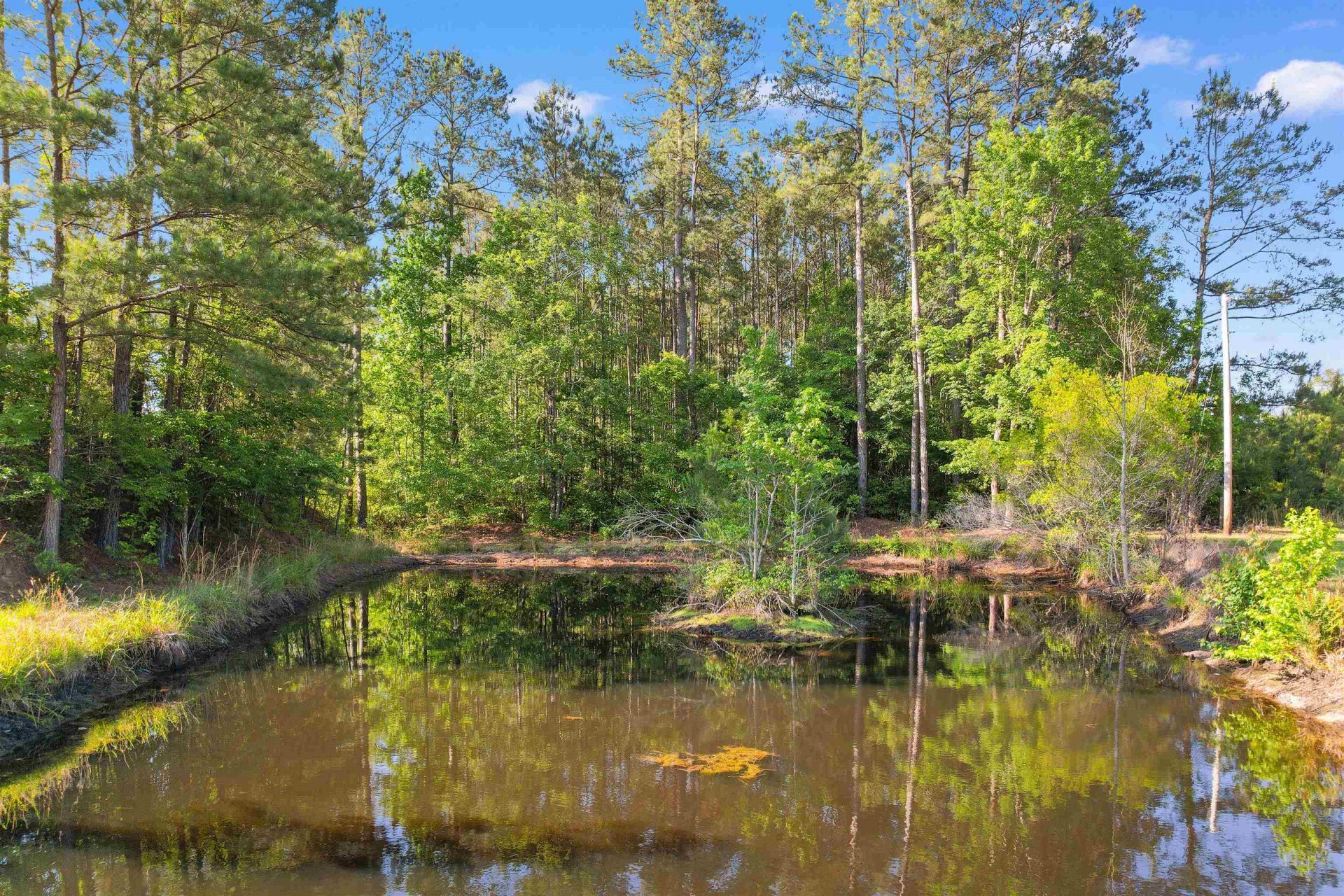 1040 Wee Tee Rd. Photo 6